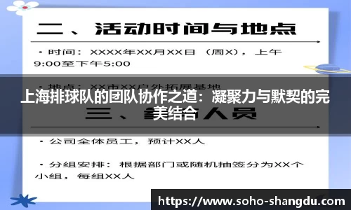 上海排球队的团队协作之道：凝聚力与默契的完美结合