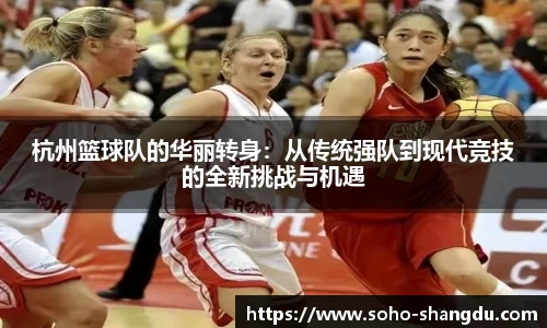 杭州篮球队的华丽转身：从传统强队到现代竞技的全新挑战与机遇