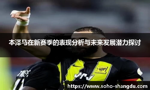 本泽马在新赛季的表现分析与未来发展潜力探讨