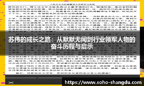 苏伟的成长之路：从默默无闻到行业领军人物的奋斗历程与启示